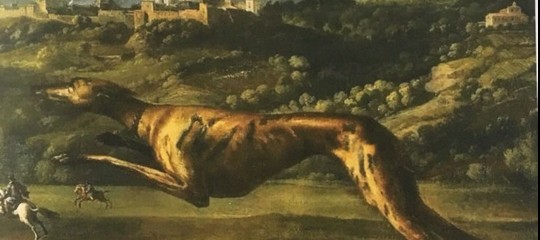 Come sono stati rappresentati i cani nella storia dell'arte. Una mostra
