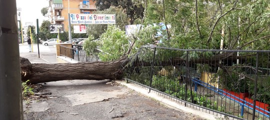 Maltempo: travolto da un albero, un altro morto in Veneto