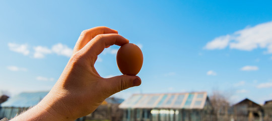 Una ricerca ha dimostrato perché la gallina domani è meglio dell'uovo oggi
