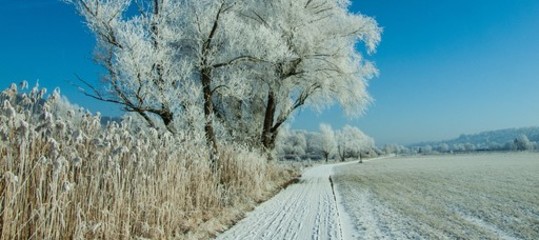 Meteo: in arrivo gelo e neve, temperature giù anche di 10 gradi da domenica