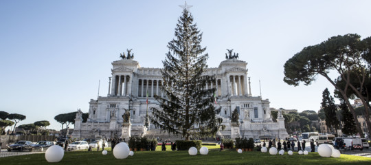 La società che portò Spelacchio a Roma ha rinunciato ai 50 mila euro del contratto