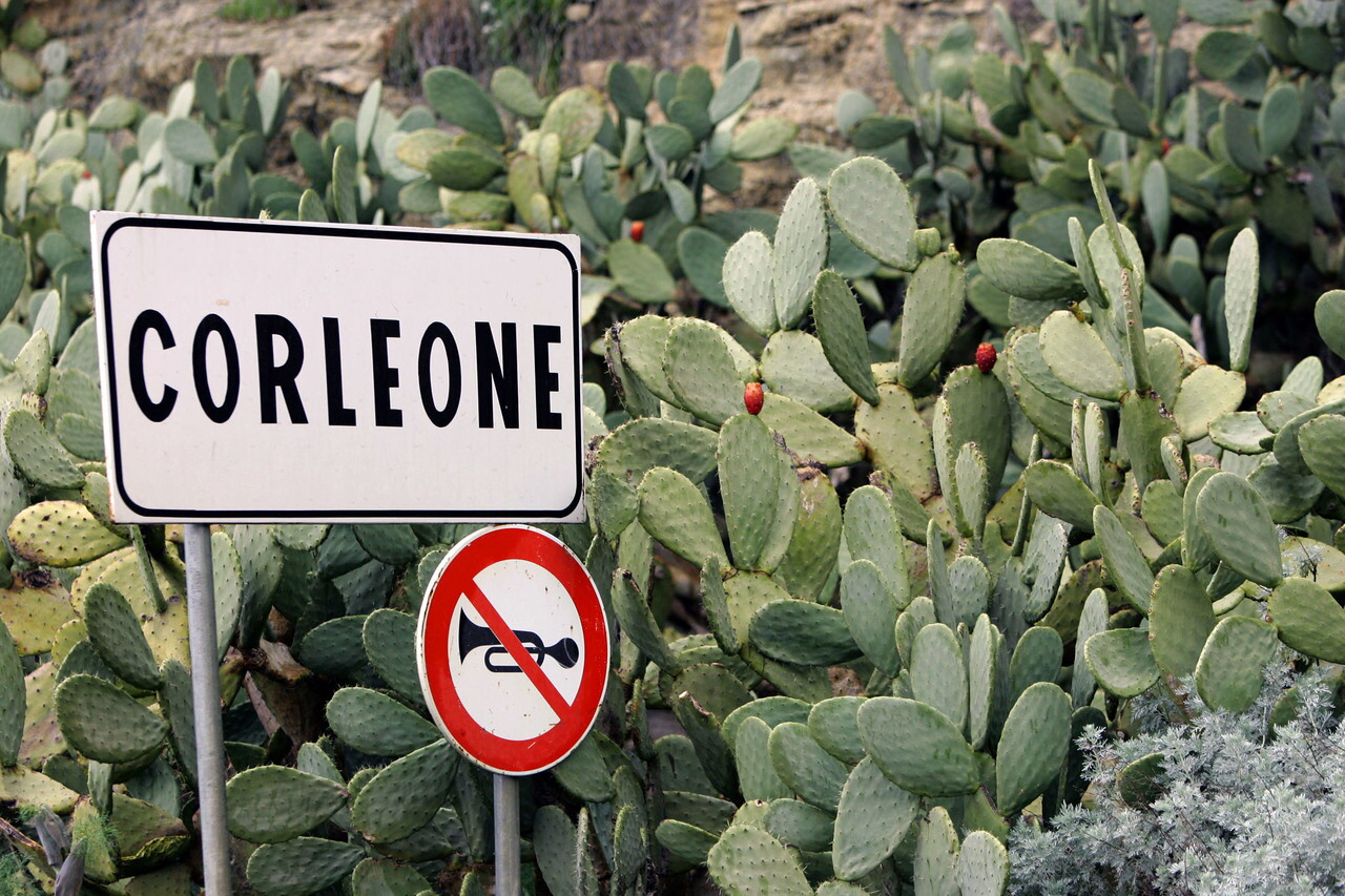 Torna l’ombra della mafia di Corleone, arrestato il nipote di Totò Riina