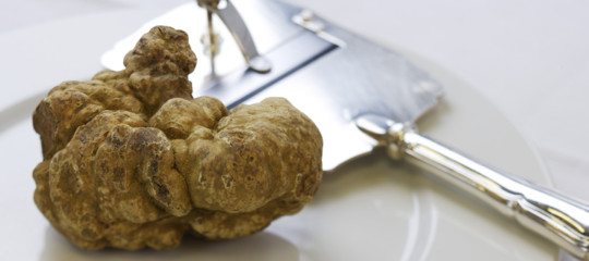 tartufo nero rischio estinzione