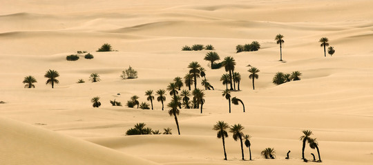 Chi è l'uomo che progetta e restaura le oasi in Africa