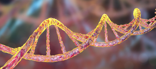 Scienze: un ricercatore cinese annuncia la nascita di due gemelle con Dna modificato