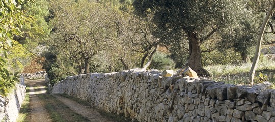 I muretti a secco sono diventati patrimonio dell'umanità