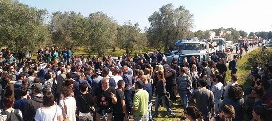 Cattiveria rancore rapporto censis