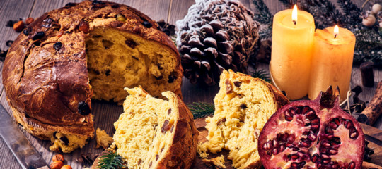 panettone pandoro giulia grillo