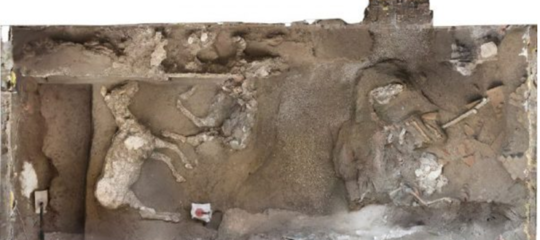pompei cavallo