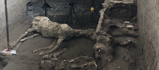 pompei cavallo