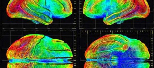 Un interceptor contro l'Alzheimer