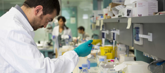 tumore sistema immunitario melanoma