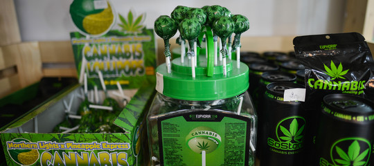 Come stanno andando i growshop in Italia?