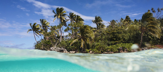 tonga internet connessione