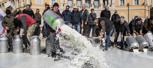 Tre condizioni per dare un futuro ai pastori sardi