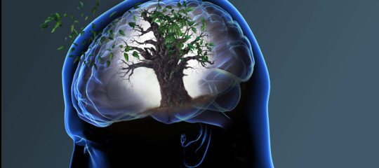 La depressione aumenta l'invecchiamento del cervello. Uno studio di Yale