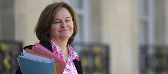 Loiseau Di Maio