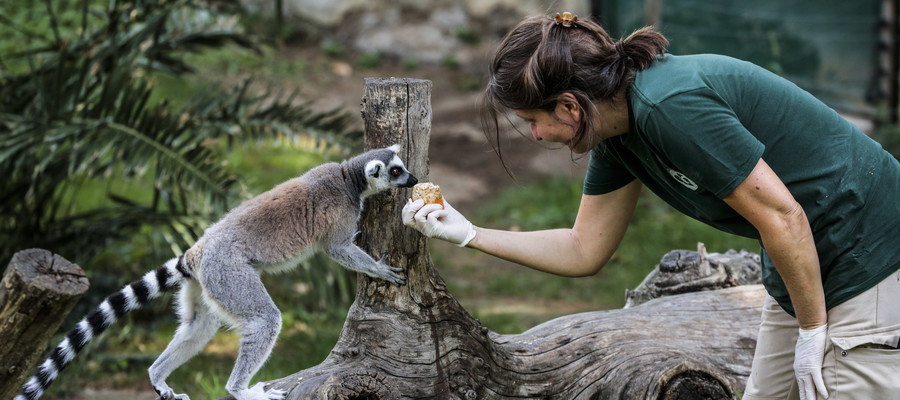 L Ultimo Bambino Dello Zoo Di Roma