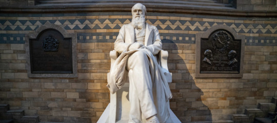 darwin nazismo