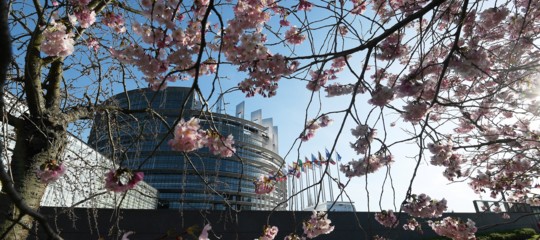 weeuropeans elezioni europee