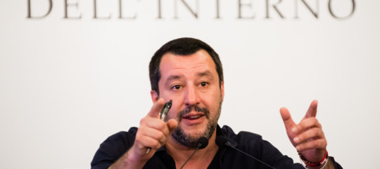 salvini rami cittadinanza