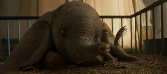 dumbo tim burton