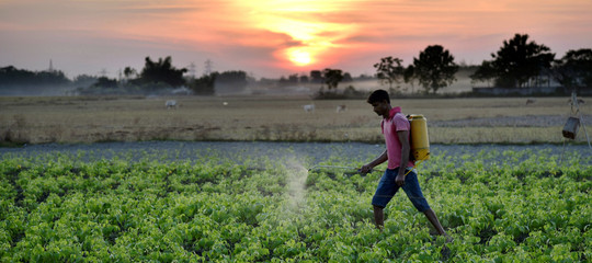 Monsanto erbicida cancro