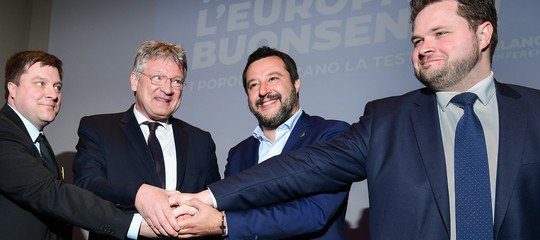 afd salvini