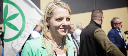 startup governo
