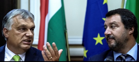 elezioni europee sondaggi