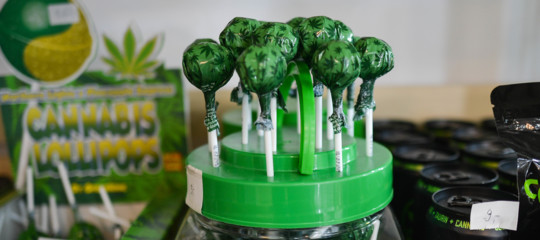 cannabis light effetti marijuana