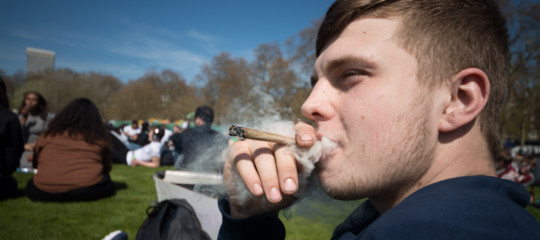 cannabis light effetti marijuana