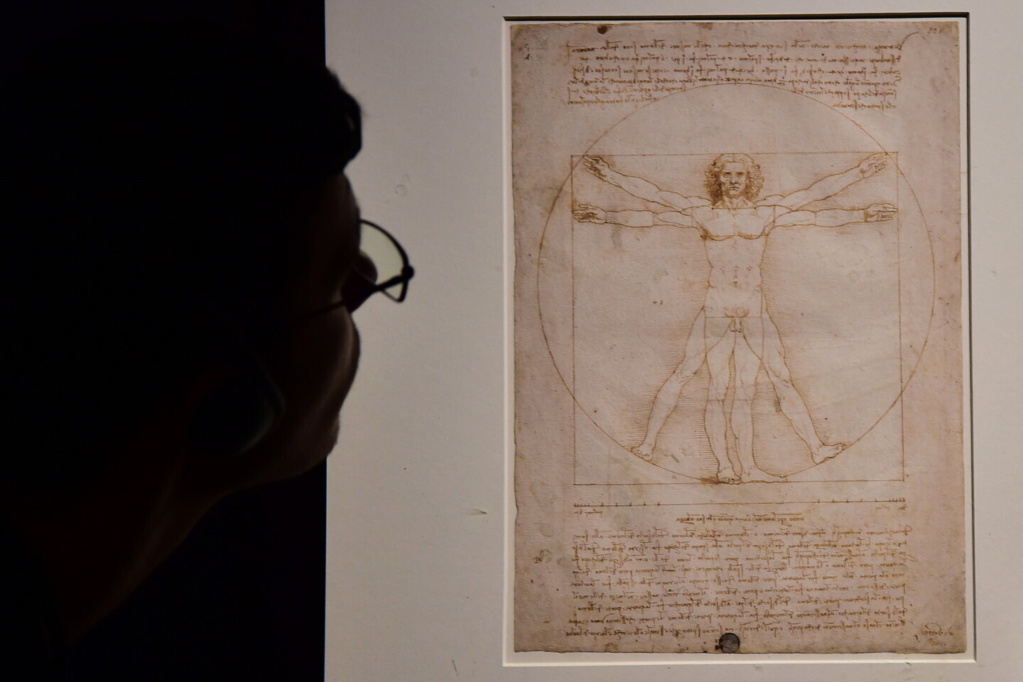 Il DNA di Leonardo Da Vinci potrebbe nascondersi tra i suoi disegni