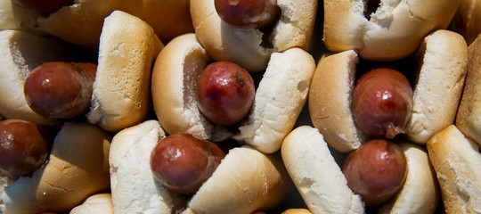 hot dog new york