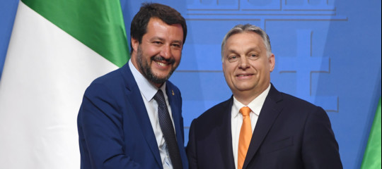 merkel curiosita salvini