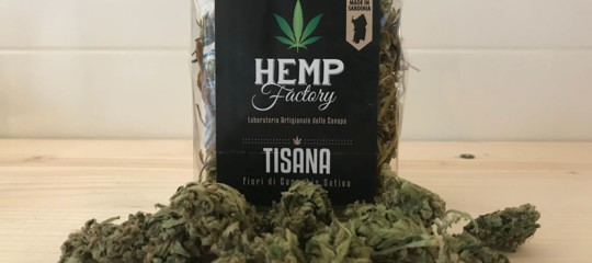 salvini di maio cannabis