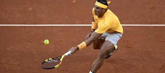 nadal tic primati