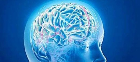 Cervello donne temperatura alta