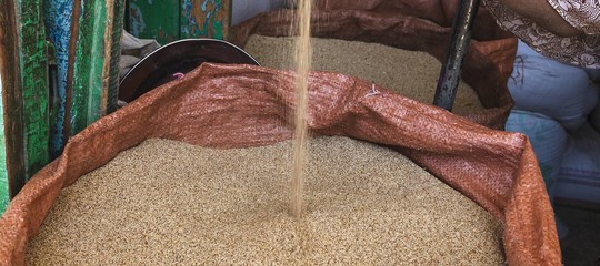 teff super grano diete glutine