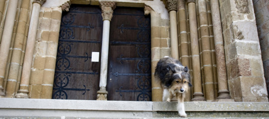 cane chiesa funerale