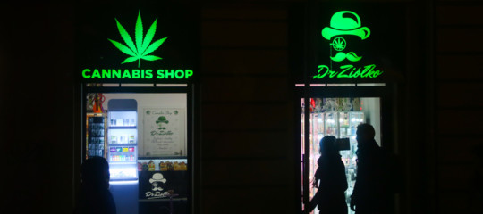 cannabis controlli negozi