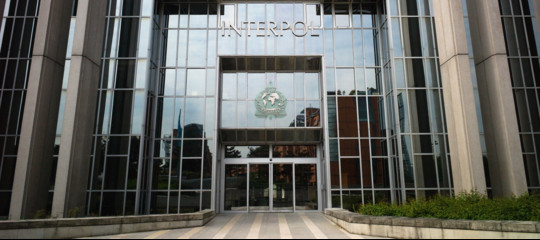 criminali ambientali ricercati interpol