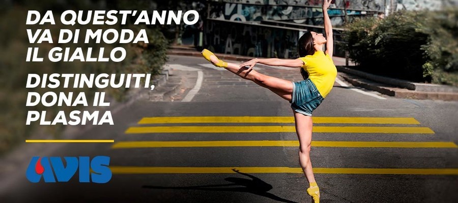 giornata mondiale donazione sangue