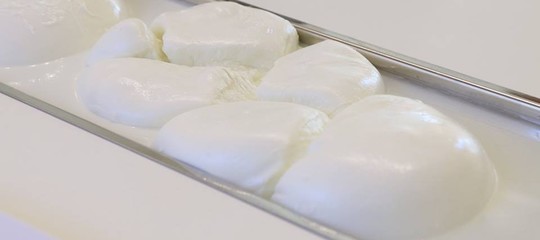 mozzarella bufala dopo