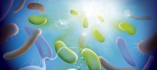 cianobatteri oceano bio carburante