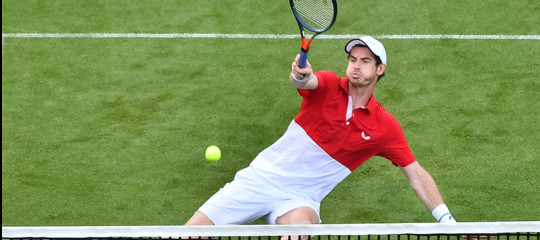 wimbledon anca murray