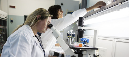 test genetici sicilia
