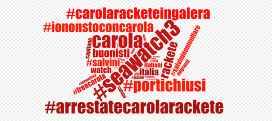 sea watch carola twitter