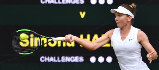 halep wimbledon seno