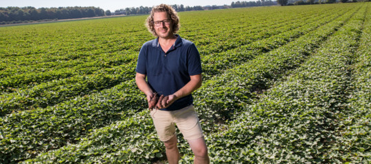cambiamenti climatici agricoltura